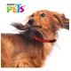 thumbnail image 3 of Collar Perro Con Ultra Grip Bandas Reflejantes Med Colores Color Rojo Tamaño del collar M, 3 of 3