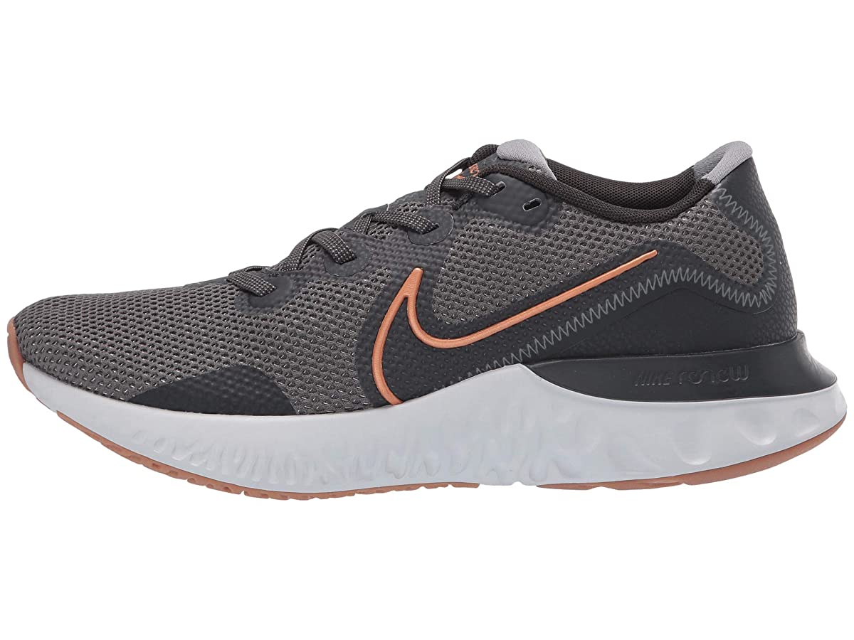 Nike Renew Run Iron Grey/Metallic Copper/Dark Smoke Grey - image 2 of 6
