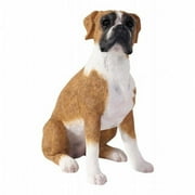 Sandicast Small Size Fawn Boxer With Uncropped Ears Sculpture- Sitting