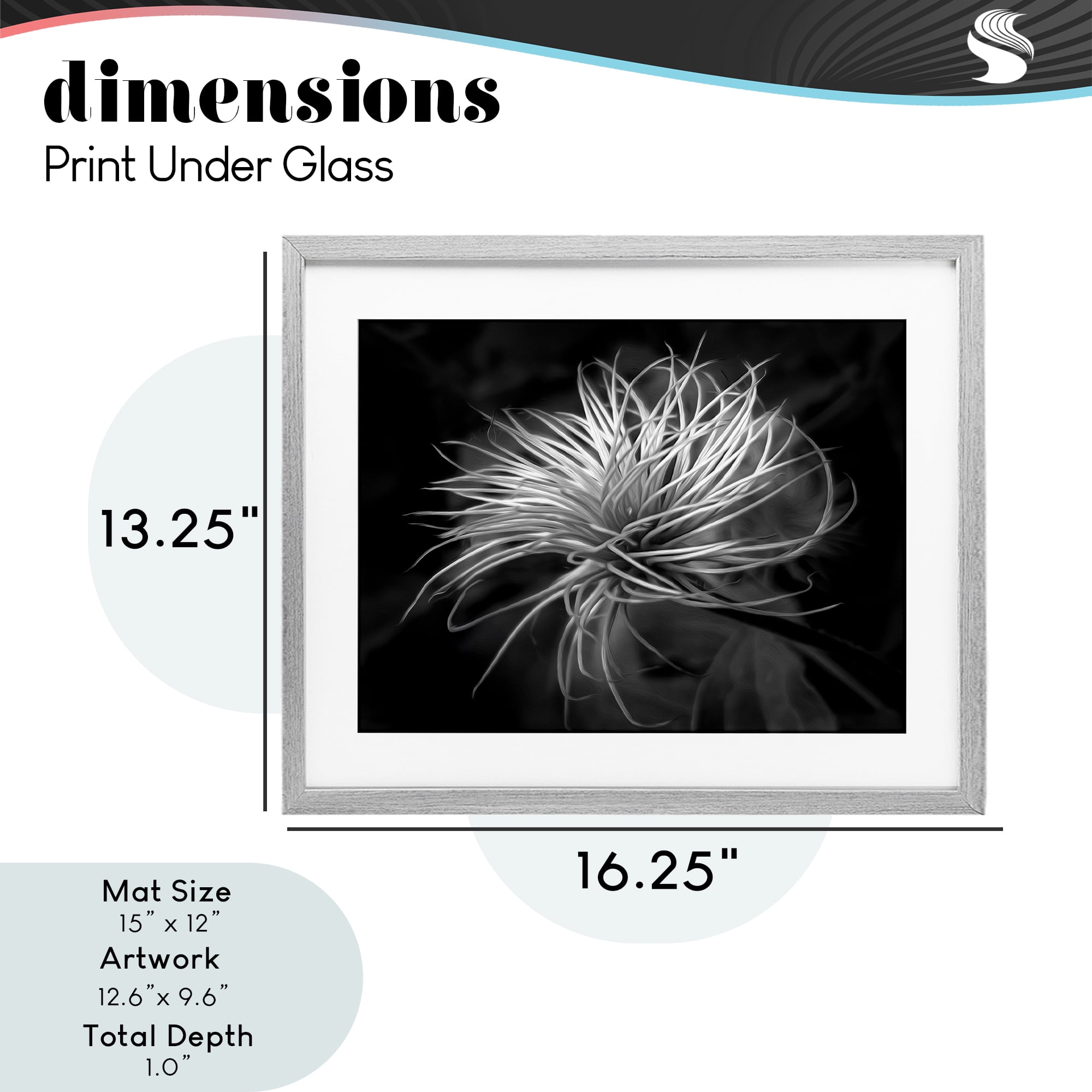 Twisting Botanical Leaves Contrast Gray Framed Print Under Glass, design by Phillip Flowers