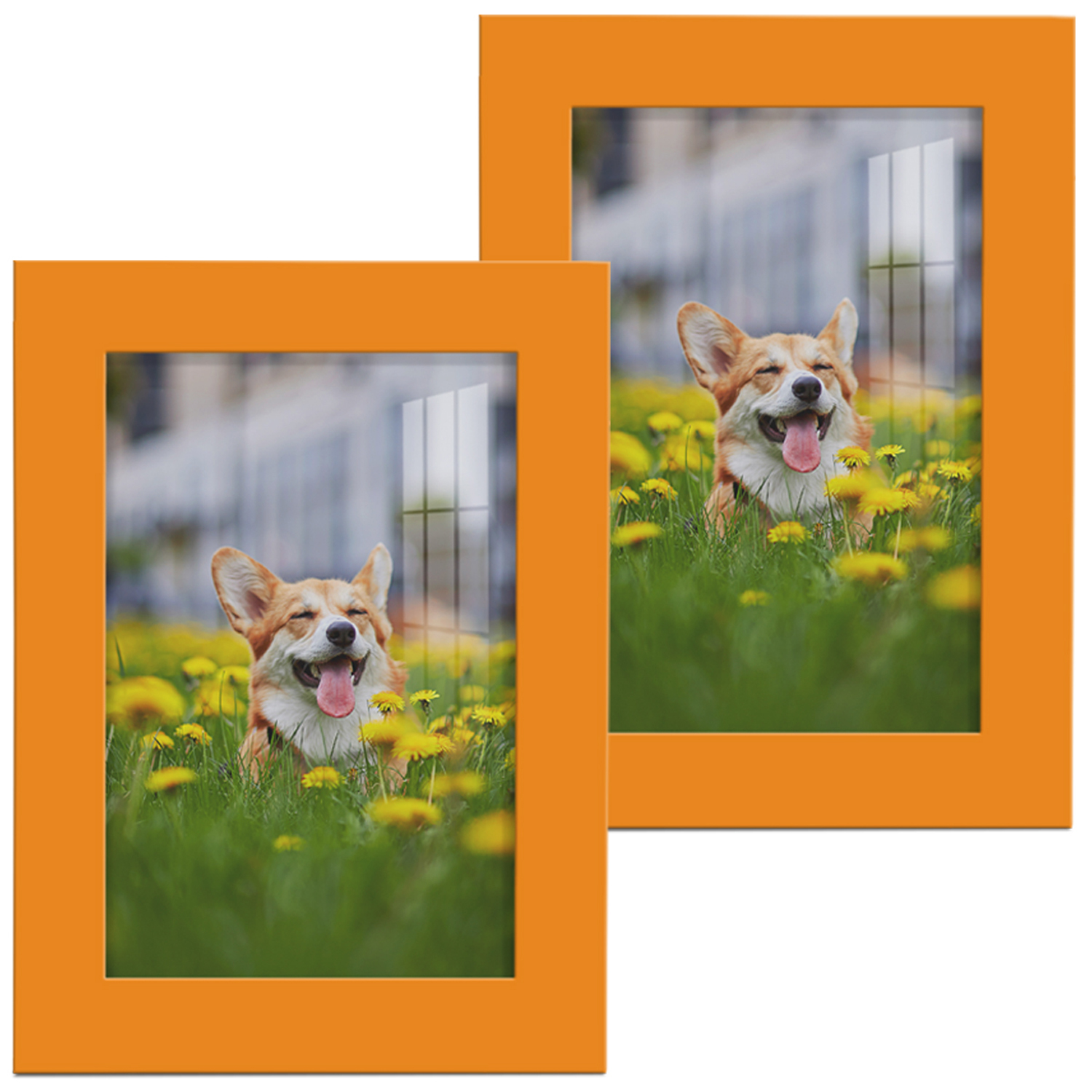 Modern 5 in. x 7 in. Orange Picture Frame (Set of 2)