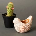 thumbnail image 3 of Mini Terracotta Bird Pot, 3 of 4
