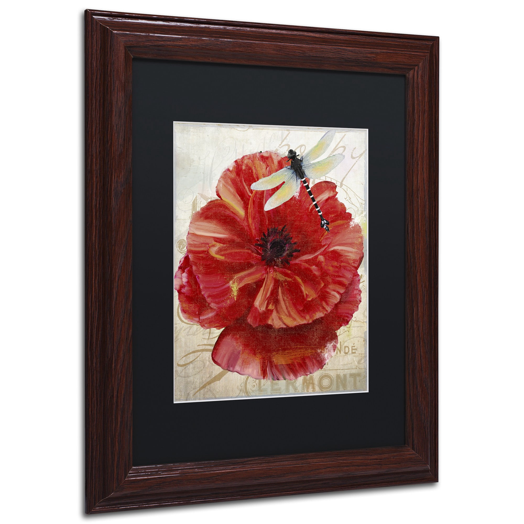 Trademark Fine Art "Le Pavot Dragonfly" Canvas Art by Color Bakery, Black Matte, Wood Frame
