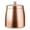 Rose gold, variant on Ashtray, Stainless Steel Rustproof Tray for Indoor Outdoor Use Home Office Tabletop Decoration Sturdy Metal Ash Holder Sleek Modern Design Smoking Accessory Silver