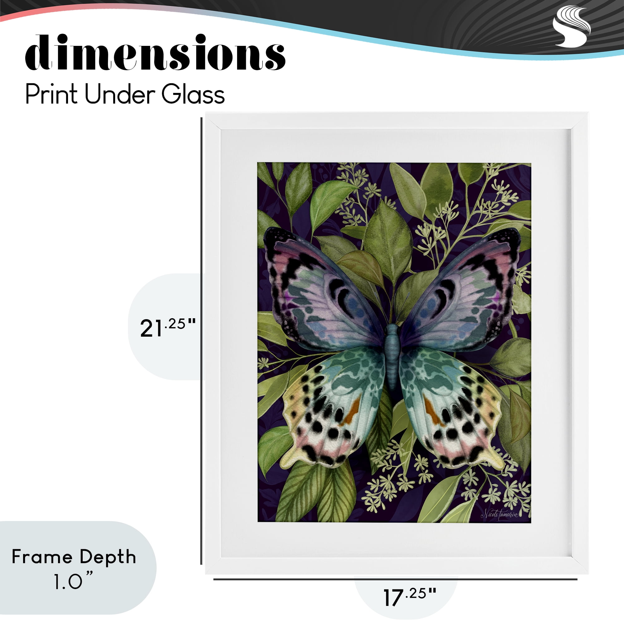 Stupell Industries Midnight Garden Butterfly White Framed Print Under Glass, design by Nicole Tamarin