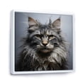 thumbnail image 2 of Designart "Majestic Maine Coon Feline II" Animals Cat Floater Framed Canvas Prints, 2 of 5