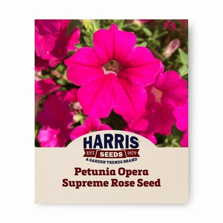 Harris Seeds - Petunia Seeds - F1 Opera Supreme Rose - 100 Pelleted Seeds