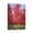 Tree (7), variant on Add Nature's Touch with 12x16 Unframed Canvas Wall Art - Landscape Forest, Tree & Plant Scenery - Waterproof Decor for Kitchen, Dining Room, Office
