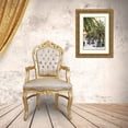 thumbnail image 3 of Bibikow, Walter 23x32 Gold Ornate Wood Framed with Double Matting Museum Art Print Titled - Canary Islands-La Palma Island-Santa Cruz de la Palma-palm tree, 3 of 4