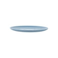 thumbnail image 4 of Holiday Time Blue Polypropylene Plate, 4 of 5