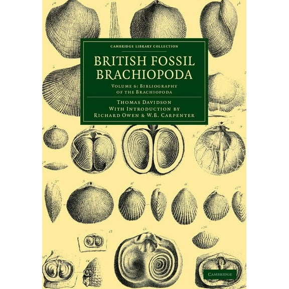 British Fossil Brachiopoda, (Paperback)