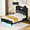 Black, variant on Greenstell Queen LED Storage Bed Frame - Charging Station, App Control, 900LBS Capacity, Black