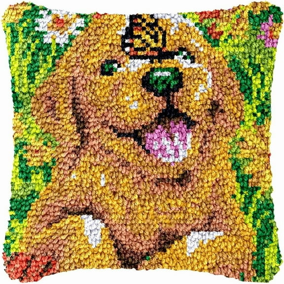 Latch Hook Kits for DIY Throw Pillow Cover, Colorful Handmade Pillow Case for Home Decoration, Festival Gift 43 × 43cm / 16.9 * 16.9 inches