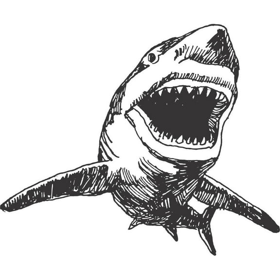 Living Room Art Shark Great White Tiger Sea Creature Water Ocean Fish Animal Boy Girl Children Kids Playroom Daycare 15x15 Inches