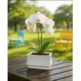 thumbnail image 4 of 30 x 22 x 15.5cm Square White Ceramic Flower Pot (2 Count), 4 of 5