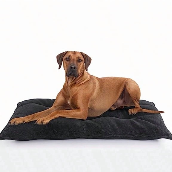 Dog Bed Indestructible Chew Proof Pet Bed Mat Durable Polyester Large 35x22 Inches Black For Aggrive Chewers Crate Pad Hine Washable