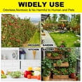 thumbnail image 4 of 36 Pack Odorless Yellow Sticky Traps, Fruit Fly Fungus Gnat Sticky Bug Catcher to Protect Indoor & Outdoor Plants, Non-Toxic Easy to Use, 4 of 5