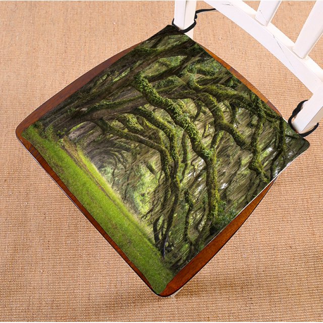 ABPHQTO Oaks Avenue Plantation Live Oak Trees Forest Landscape Cojín para silla Cojín para asiento Cojín para silla Cojín para suelo 45x45 cm