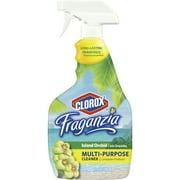 Clorox CleanUp All Purpose Cleaner with Bleach, Spray Bottle, Original