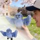 thumbnail image 2 of Pájaro de 18 cm, muñeco divertido y adorable, peluche para el escritorio, ideal para niños, niñas, adultos, cumpleaños, fiestas, salón, apartamento o residencia de estudiantes, 2 of 8
