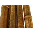 thumbnail image 2 of Backyard X-Scapes Black Bamboo Poles 1 in D x 90 in L (25-Pack), 2 of 6