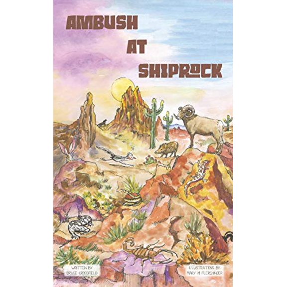 Pre-Owned Ambush at Shiprock (Hardcover) 0578656582 9780578656588