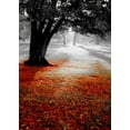 thumbnail image 2 of PhotoINC Studio 18x24 White Modern Wood Framed Museum Art Print Titled - Autumn Contrast, 2 of 4