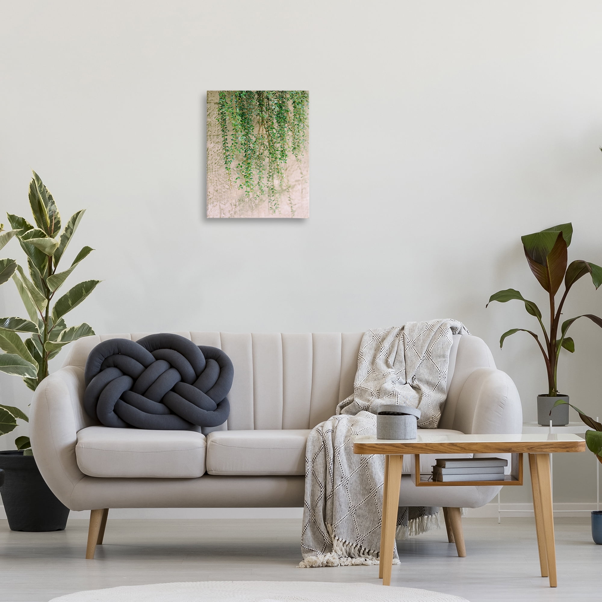 Stupell Industries Hanging Ivy Vines Botanical & Floral Photography Gallery Wrapped Canvas Art Print Wall Art, 16 x 20