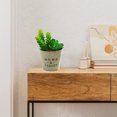 thumbnail image 5 of Se utiliza para decorar su hogar u oficina. Plantas en macetas suculentas artificiales realistas., 5 of 5