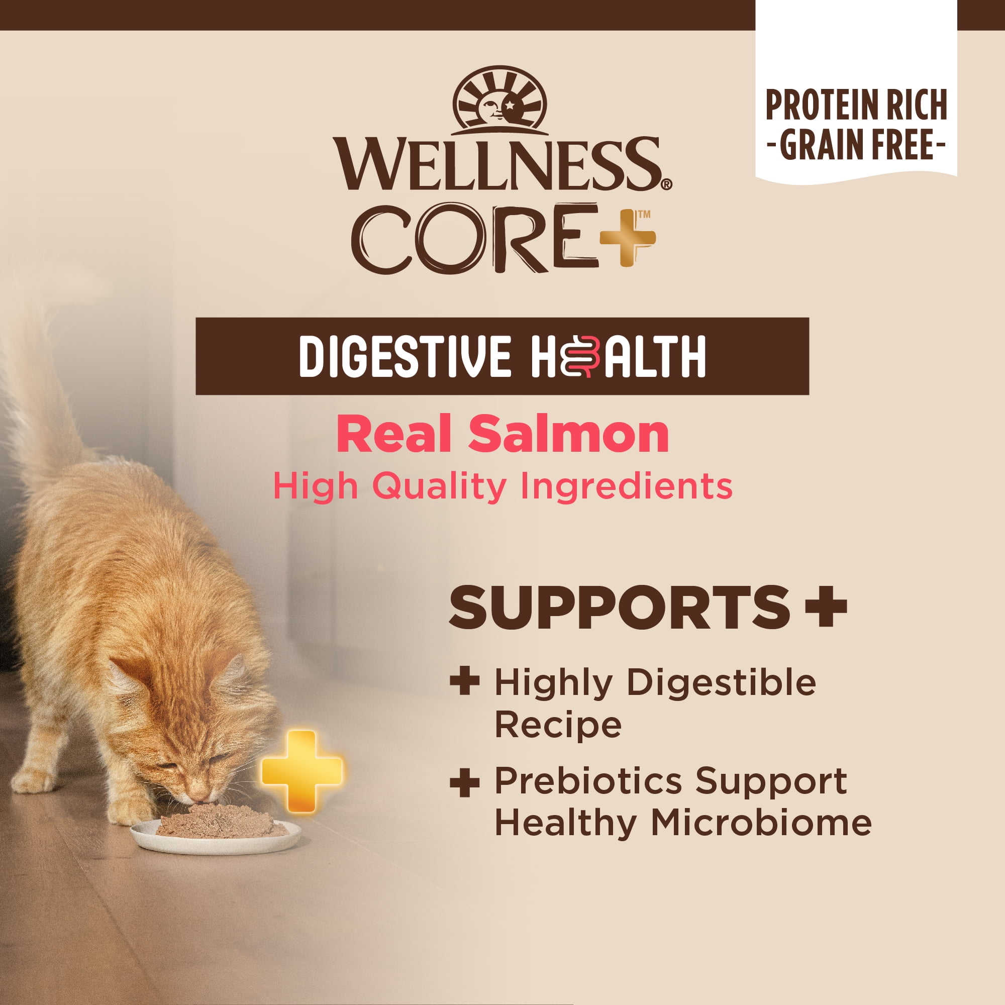 Wellness CORE+ Digestive Health Pate Adult Canned Wet Cat Food, Natural, Protein Rich, Grain Free, Salmon Recipe, 3 oz, Pack of 12 Cans