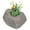 Riverbed Brown, variant on DekoRRa 132-FS Rock Planter