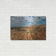 thumbnail image 3 of Luxe Metal Art 'Utah - Bryce Canyon Crop' by Luxe Portfolio, Metal Wall Art, 36"x24", 3 of 9