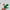 Green, variant on Holiday Time Boys Christmas Cotton Tight Fit Long Sleeve Shirt and Pants Pajama Set, 2-Piece, Sizes 4-10