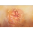 thumbnail image 2 of Murdock, Ramona 14x11 Black Ornate Wood Framed with Double Matting Museum Art Print Titled - Golden Sunshine, 2 of 4