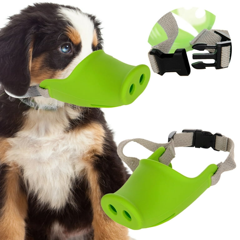 Pet dog accessories shop online