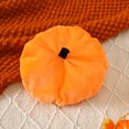 thumbnail image 5 of WIBACKER Newborn Baby Boys Girls Halloween Spider Hooded Costume Infant Sleeveless Romper & Hat Costumes Set Photo Shoot Costumes, 5 of 10