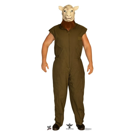 Erick Rowan - WWE
