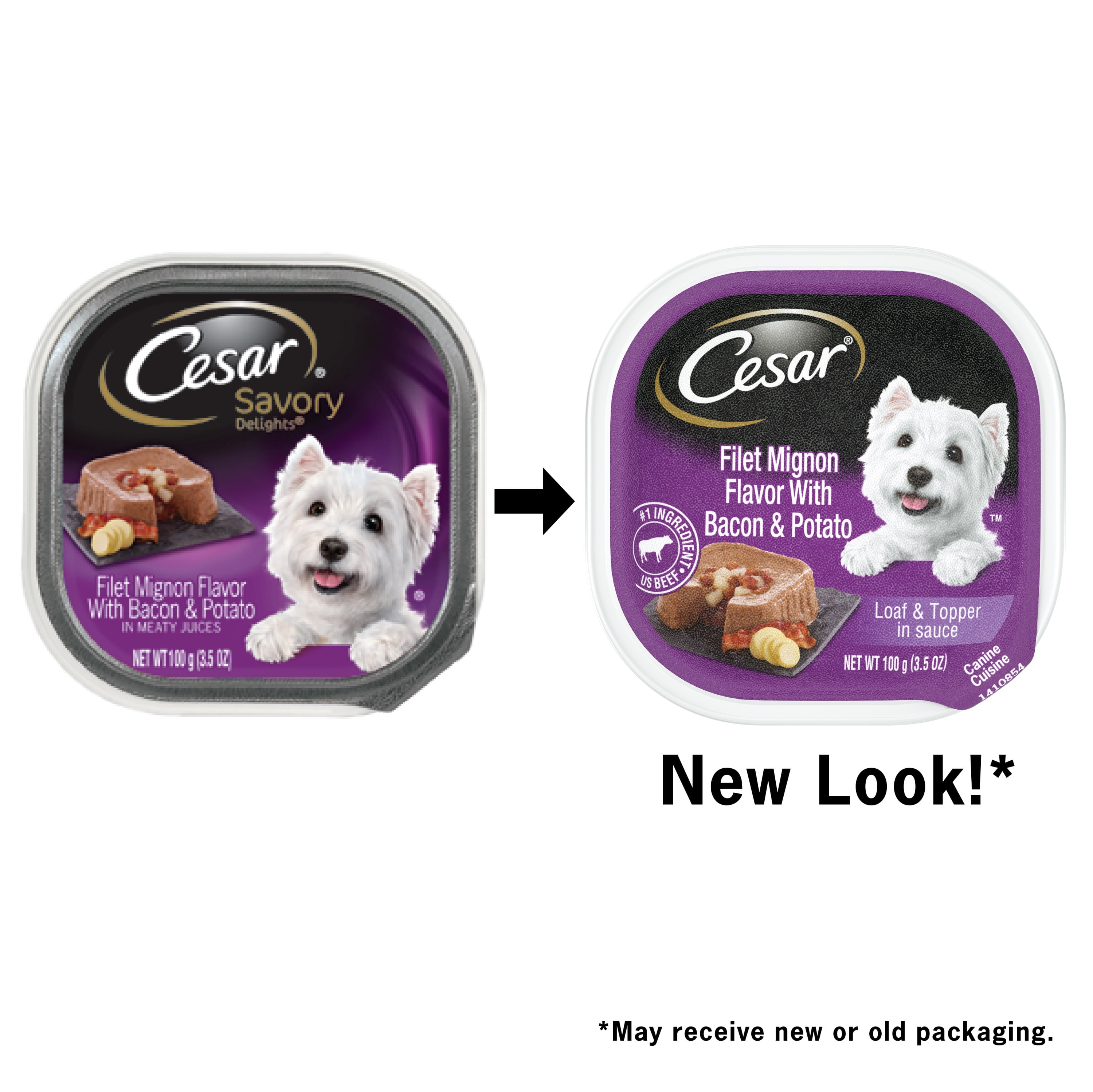 Cesar savory top dog food