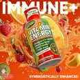thumbnail image 5 of Vitamin Energy Immune+ Extra Strength Shot, Fruit Punch, 12 Pack – 260mg Natural Caffeine, B-Vitamins & Citicoline, Zero Sugar, 1.93 fl oz, 5 of 9