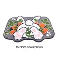 thumbnail image 6 of Easter Clearance! YZEGDCH Easter Entryway Rug Easter Eggs Bunny Indoor Outdoor Non-Slip Mat for Easter Entrance Bathroom Decoration, Easter Gifts for Women Men, 6 of 6