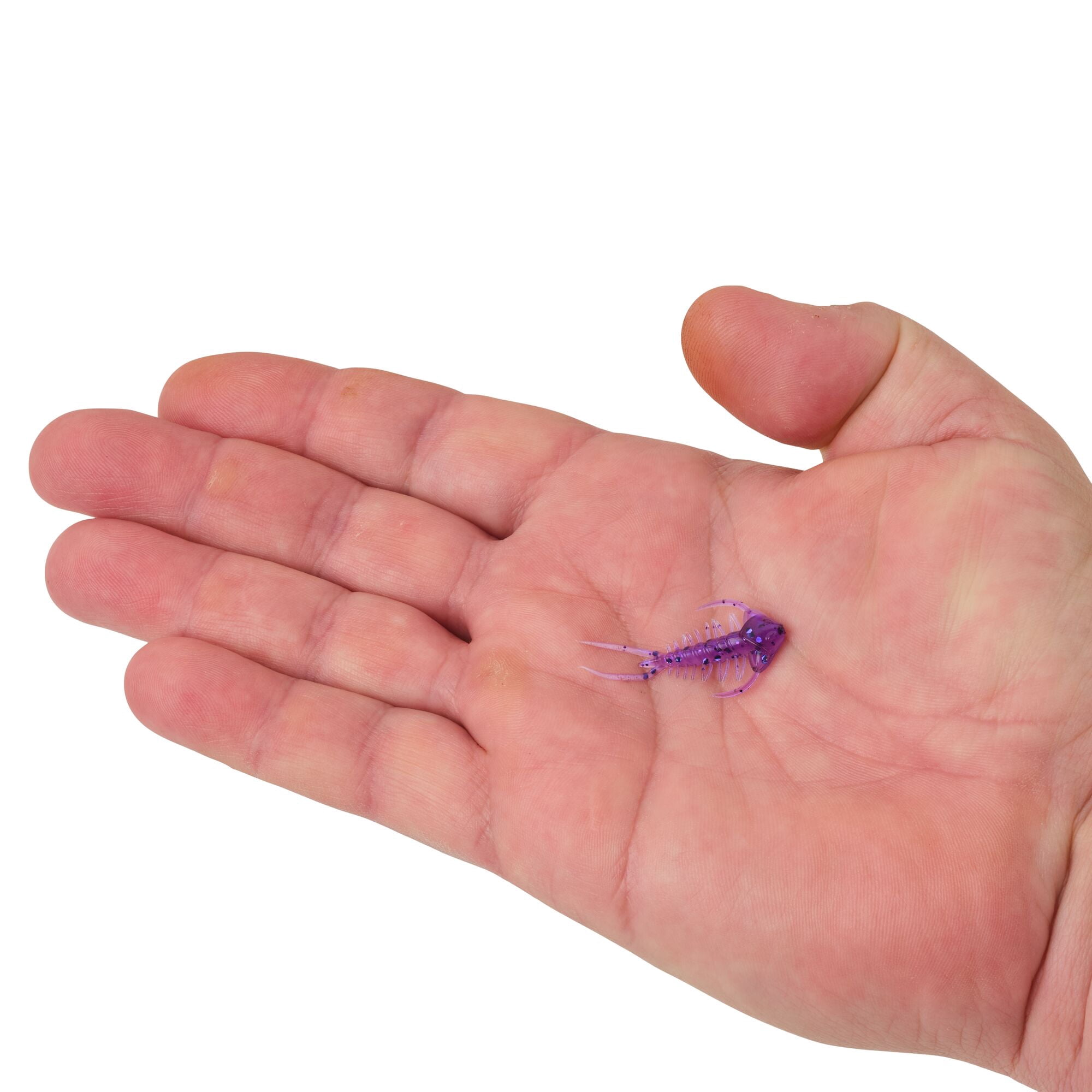 Berkley PowerBait® Trilobite, 1.5 in, Creatures, Purple Rain (6 Count)