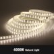 thumbnail image 1 of Tira de LED de 220V 2835 Alta seguridad Alto brillo 180LEDs / m3000K 4000K 6000K Luz LED flexible Tira de luz LED impermeable para exteriores Tan Jianjun unisex, 1 of 2