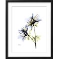 thumbnail image 2 of Art.com Soft Azalea Portrait Premium Giclee Print by Albert Koetsier, Black Frame Wall Art, 17" x 21", 2 of 5