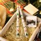 thumbnail image 1 of Vela para Banquete Navideño, Elegante Decoración para Cenas a La Luz de Las Velas, Diseño de Poste Largo, Ambiente Festivo Cálido, Decoración para Mesa de Boda, Rojo, Verde, Blanco, Rosa y Azul, 25 C, 1 of 6