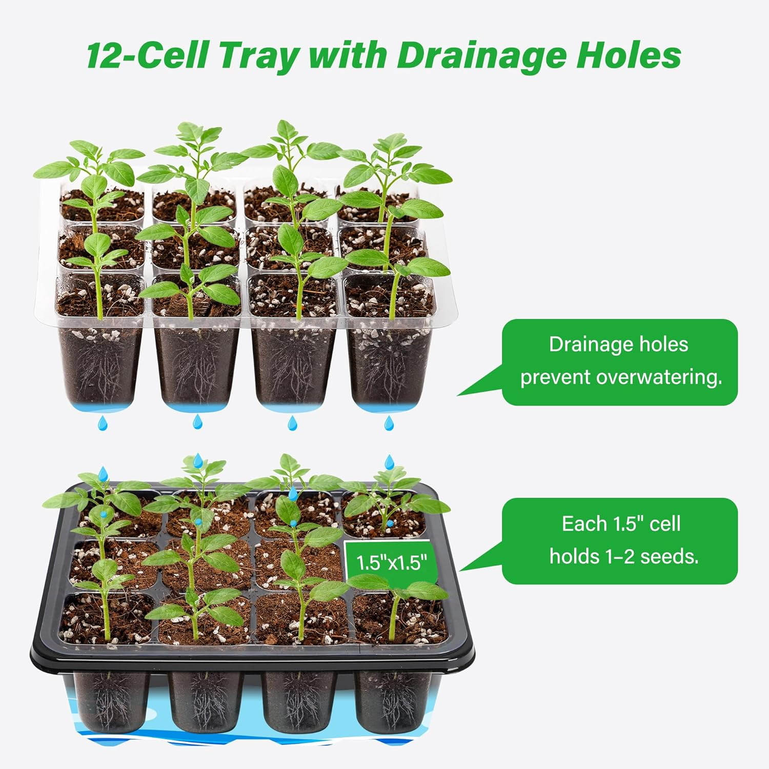 5-Pack Seed Starter Trays for Indoor Germination – Humidity Dome to Regulate Temperature & Humidity, Clear Tray for Root Observation, Drain Holes to Prevent Overwatering (5 Packs, Clear)