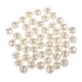 thumbnail image 1 of 2x 50pcs de Artificiales Abalorios de Plástico ABS para Fabricación / Álbumes de Recortes BLESIY  Botones de costura de perlas, 1 of 8