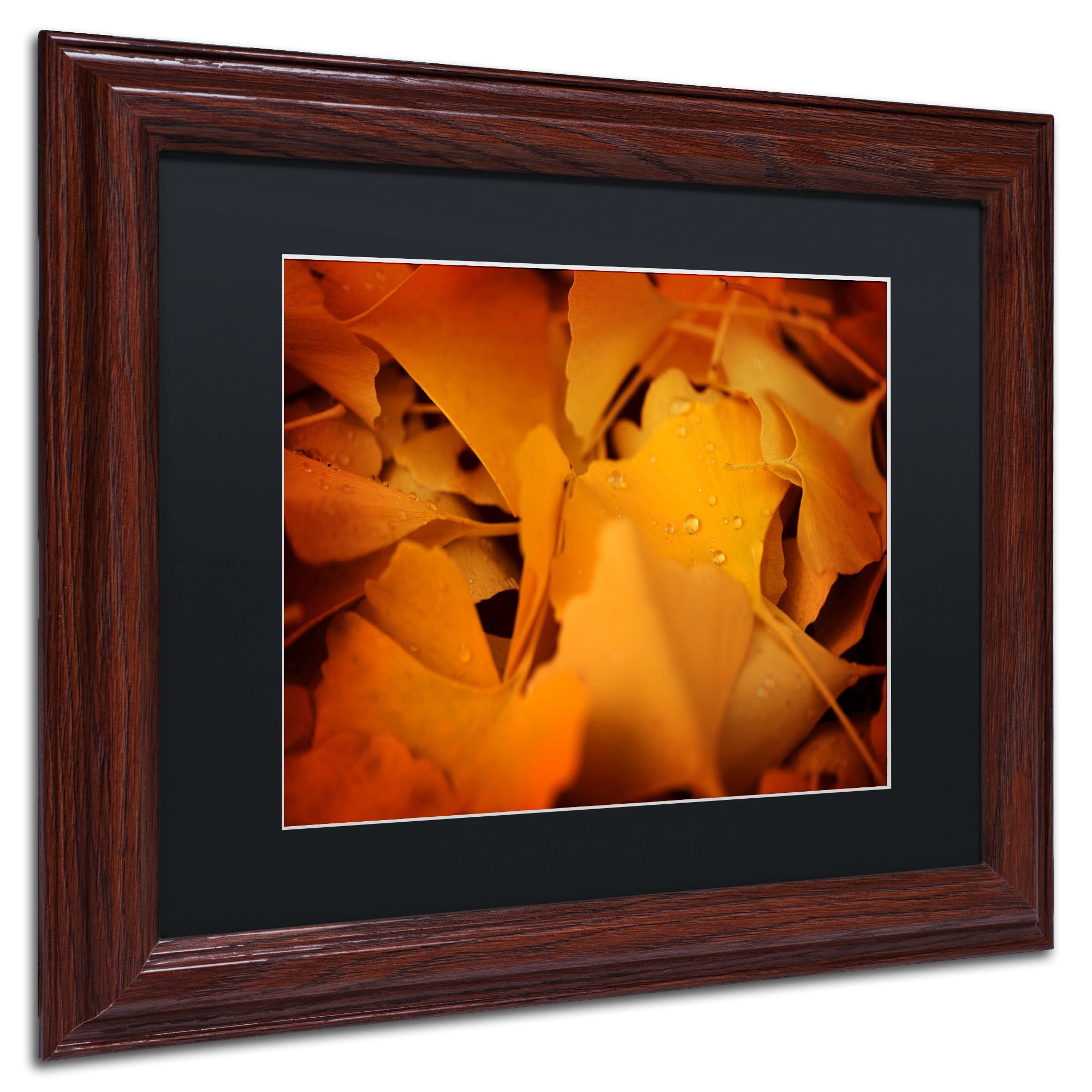Trademark Fine Art "Divine Pearls" Canvas Art by Philippe Sainte-Laudy Black Matte, Wood Frame