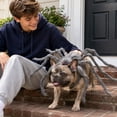 thumbnail image 4 of Pet Halloween Spider Costume, 8 Fluffy Furry Legs Cosplay Outfit, Adjustable Funny Festival Dress Up Accessory for Holiday Themed Party (Black/L), 4 of 5