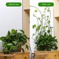 thumbnail image 5 of 90 clips de entrenamiento de tallo de planta de 360 ​​grados, clips ajustables para doblar plantas, clips de entrenamiento de tallo de planta de plástico, clips de control de plantas para bajo es, 5 of 5
