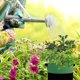 thumbnail image 1 of Greenadscape 6Ud Bolsas De Tela Para Plantar Vegetales Con Permeabilidad Y Durabilidad, 1 of 6
